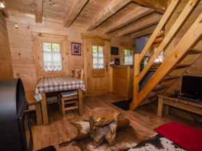 Mazot 2 étoiles avec jardin, parking et wifi - Chamonix - FR-1-343-215